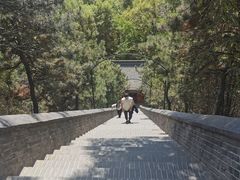 -红螺寺