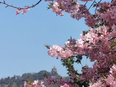 -上海辰山植物园