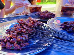 -杨记烤肉老店