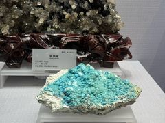 -湖南省地质博物馆