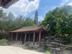 -顺峰山公园
