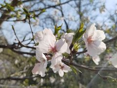 -龟山风景区-龟山电视塔