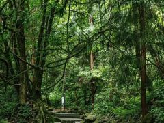 -西岭雪山大飞水景区