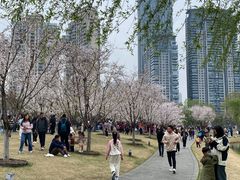 -西北湖绿化广场
