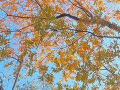 -南京金牛湖风景区