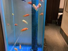 -半勺·新徽菜(银泰城店)
