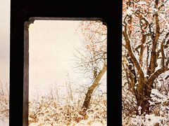 -中国湿地博物馆