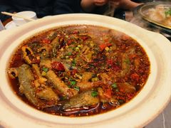 -情妹耙泥鳅·江湖川菜(科华店)