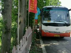 -小六农家乐(崇明西沙湿地店)