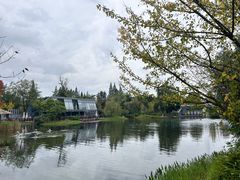 -成飞公园