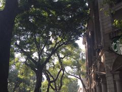 -星巴克臻选(广州沙面店)