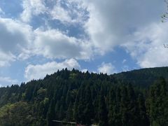 -武陵山森林公园