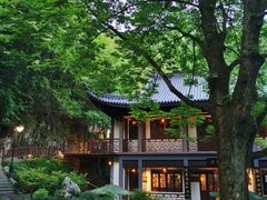 -十八棵（老龙井）御茶园(老龙井店)