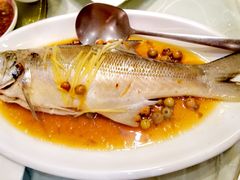 -光头匠