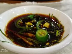 -凯盈阁·顺德私房菜·桑拿鸡