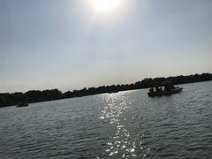 -荷塘月色湿地公园·向阳花洲