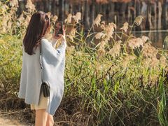 -白鹭湾湿地公园