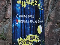 -四明山国家森林公园