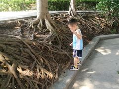 -黄埔古港