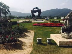 -亚龙湾国际玫瑰谷
