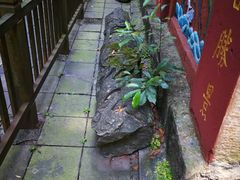 -都江堰普照寺