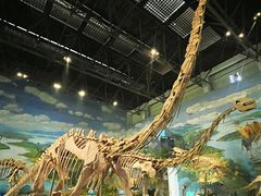 -自贡恐龙博物馆