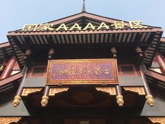 -乐山乌木文化博览苑