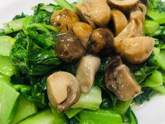 草菇盖菜-马凯餐厅(地安门店)