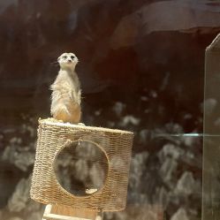 -酷嗒动物文化乐园(cutezoo西溪乐天城店)