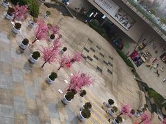 -易生活购物公园