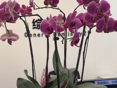 -杭州口腔医院(城西院区)