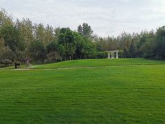 -合肥滨湖国家森林公园