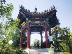 -武清南湖绿博园