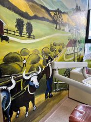 -睿宝儿科·眼科·口腔(杨浦新江湾城店)