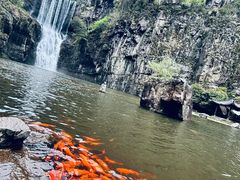 -刘伯温故里景区百丈漈