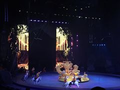-广州长隆国际大马戏