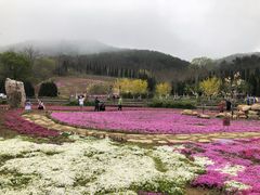 -棒棰岛宾馆景区