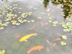 -白马涧龙池景区