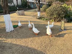 -长安先导国际创新人才交流中心