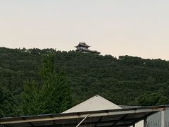 -呼吸森林·生态农庄农家乐私房菜