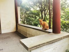 -秋霞圃