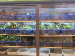 -老味道1992(武当山店)