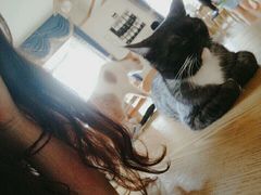 -猫咖时代(中山亭店)