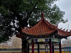 -迎江寺