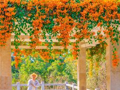 -桃花涧