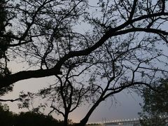 -宝安西湾红树林湿地公园