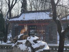 -淄博聊斋城景区