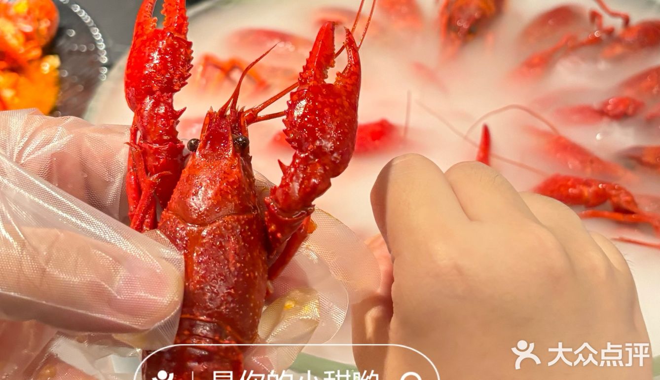 520龙虾狂欢 夏日清凉一“把”冰镇小龙虾🦞