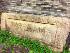 -龙大花卉苗木市场