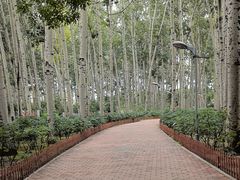 -仁和公园(顺义区)